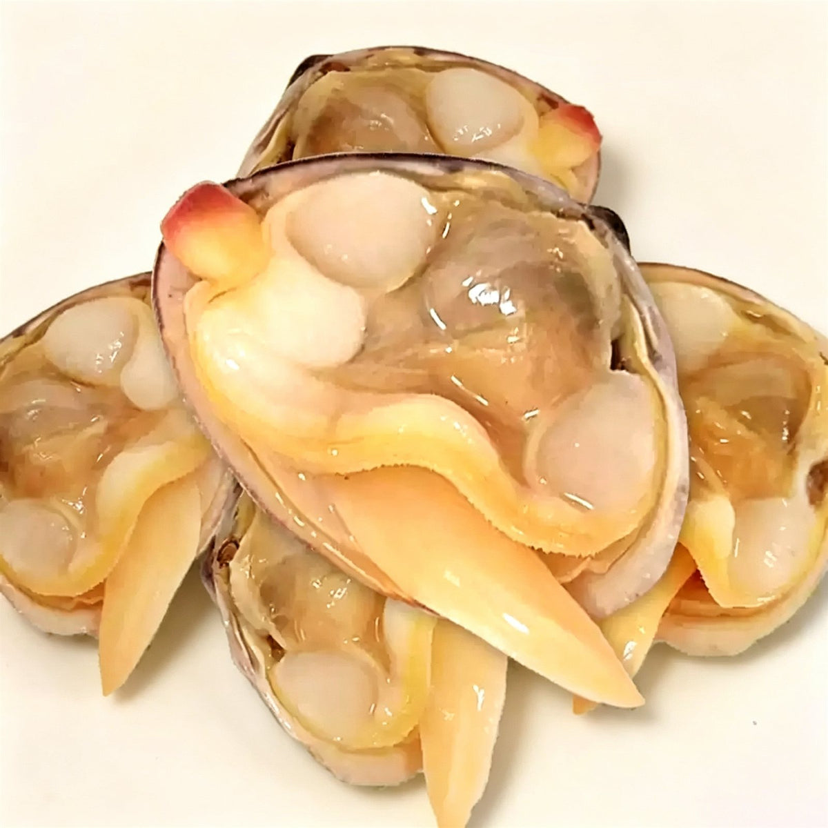 Dandong Large Yellow Clams