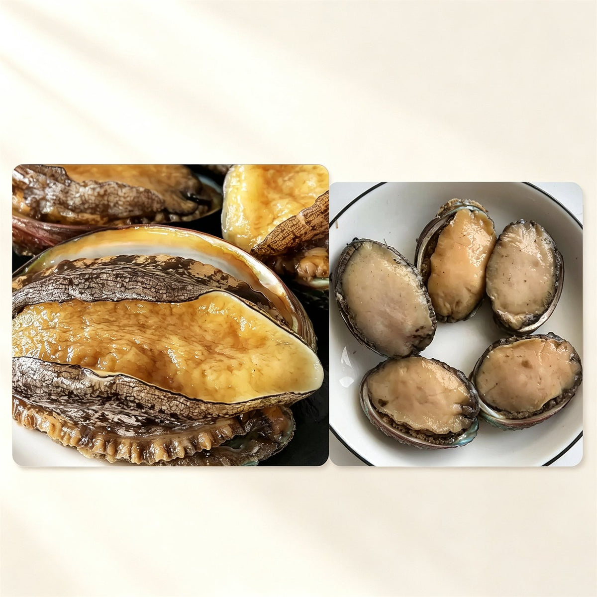 Frozen Raw Large Abalone