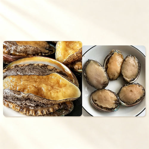 Frozen Raw Large Abalone